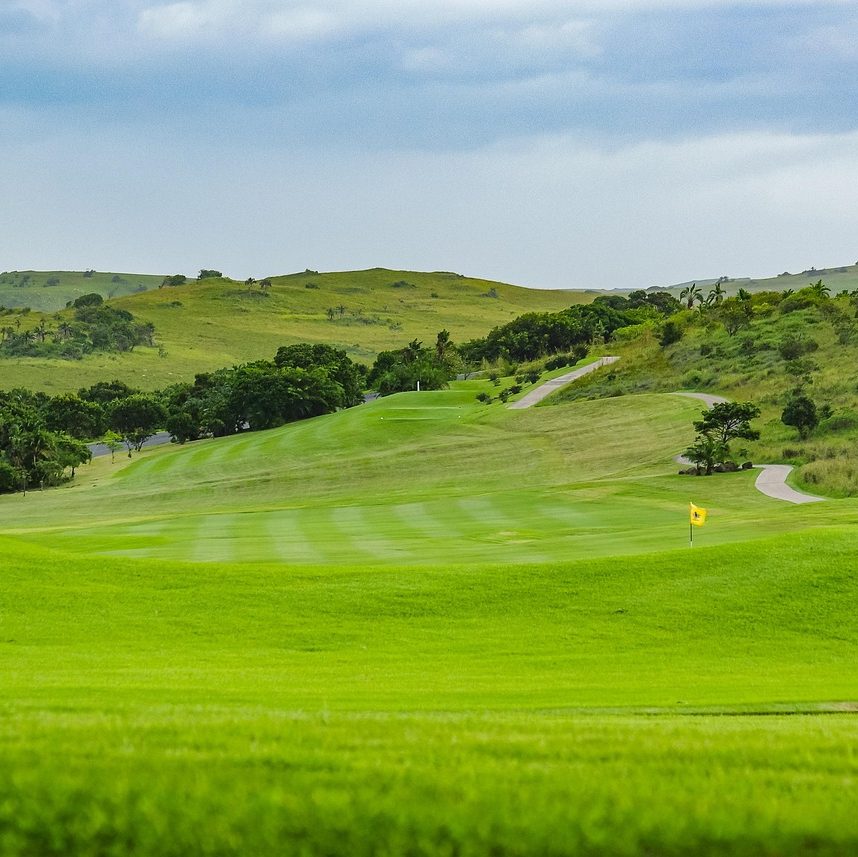 golf, nature, golf course, golfing, turf, sports, grass